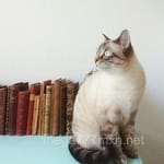 Avatar de Alfredo Soto